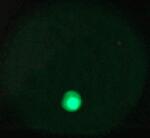 Click on one of the size names above to enlarge this image