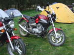 Click on one of the size names above to enlarge this image