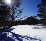 Click on one of the size names above to enlarge this image