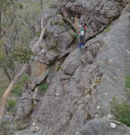 Click on one of the size names above to enlarge this image