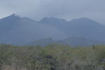 Click on one of the size names below to enlarge this image