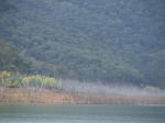 Click on one of the size names above to enlarge this image