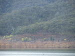 Click on one of the size names above to enlarge this image