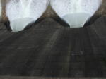 Click on one of the size names above to enlarge this image