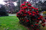 Click on one of the size names above to enlarge this image