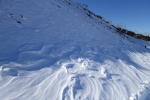 Click on one of the size names above to enlarge this image Click on one of the size names above to enlarge this image