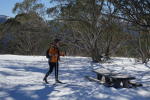 Click on one of the size names above to enlarge this image Click on one of the size names above to enlarge this image