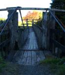 Click on one of the size names above to enlarge this image Click on one of the size names above to enlarge this image