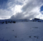 Click on one of the size names above to enlarge this image Click on one of the size names above to enlarge this image