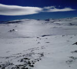 Click on one of the size names above to enlarge this image Click on one of the size names above to enlarge this image