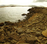 Click on one of the size names above to enlarge this image Click on one of the size names above to enlarge this image