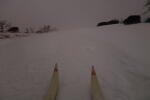 Click on one of the size names above to enlarge this image Click on one of the size names above to enlarge this image