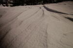 Click on one of the size names above to enlarge this image Click on one of the size names above to enlarge this image