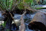 Click on one of the size names below to enlarge this image