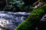 Click on one of the size names below to enlarge this image
