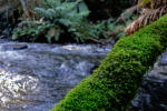 Click on one of the size names below to enlarge this image