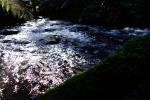 Click on one of the size names below to enlarge this image